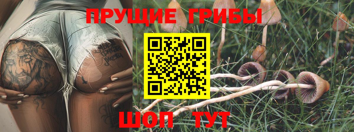 Псилоцибиновые грибы MAGIC MUSHROOMS Старая Купавна
