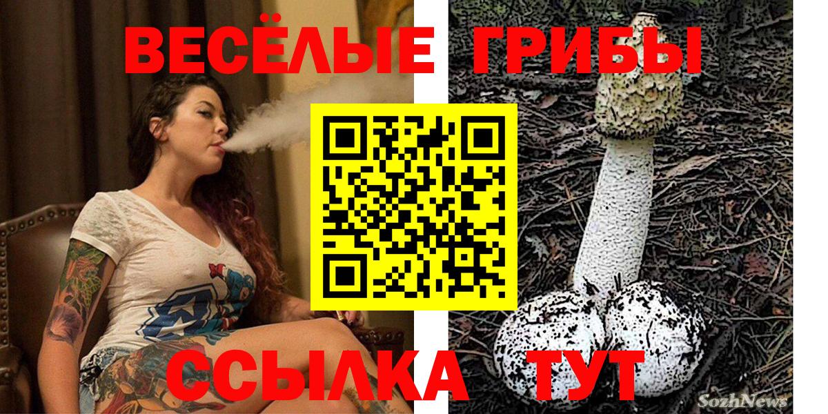 Старая Купавна  Галлюциногенные грибы MAGIC MUSHROOMS  Вход с VPN 